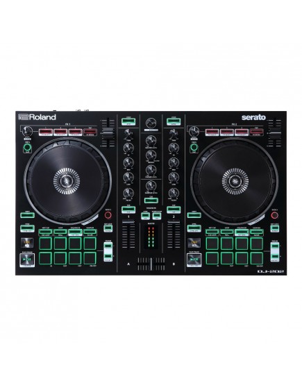 Roland DJ-202